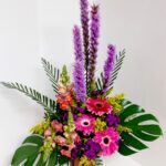Alegría Primaveral