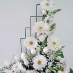 Belleza en Blanco