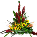 Ginger y Girasoles