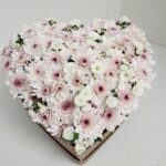 Bello Corazón