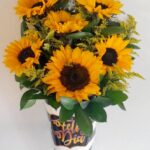 Soles Girasoles