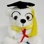 Oso peluche graduación
