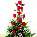 Bowl en Rojos
