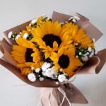 Energía de Girasoles