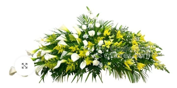 Sentidas Condolencias Sinceras Condolencias - Imagen 1