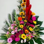 Festival de Colores
