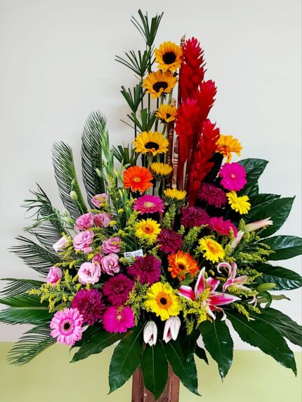 Festival de Colores
