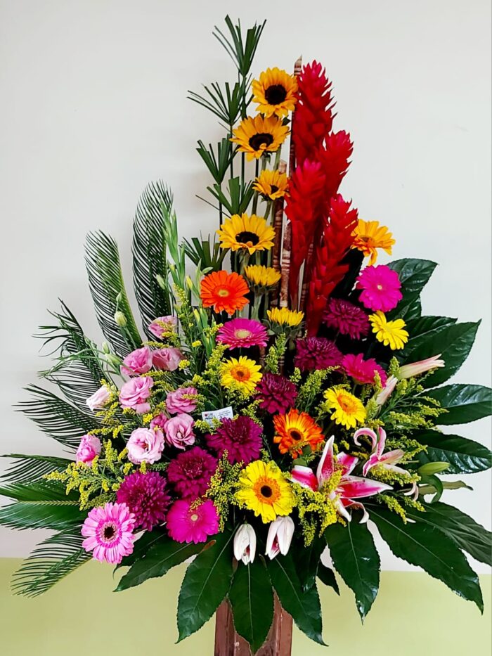 Festival de Colores - Image 1