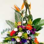 Vibrantes Colores