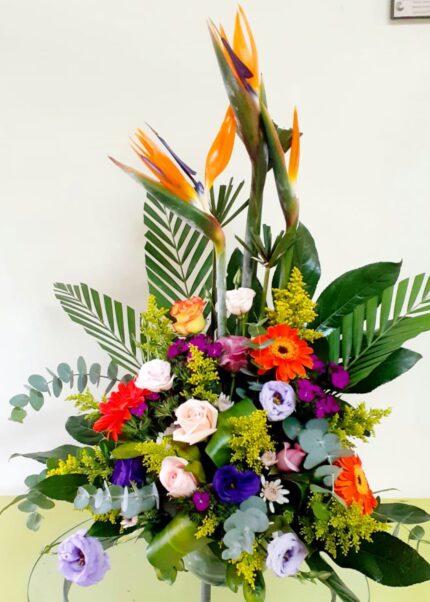 Vibrantes Colores