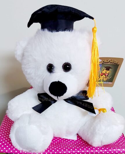 Osito blanco graduación