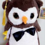 Peluche Buho de Graduación