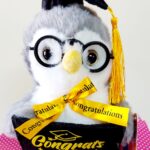 Búho con anteojos de graduación
