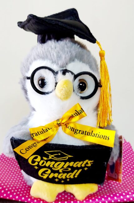 Búho con anteojos de graduación