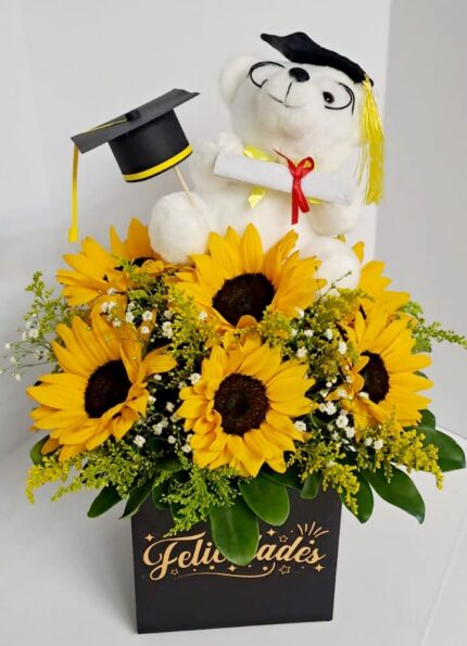 Congratulaciones !!!